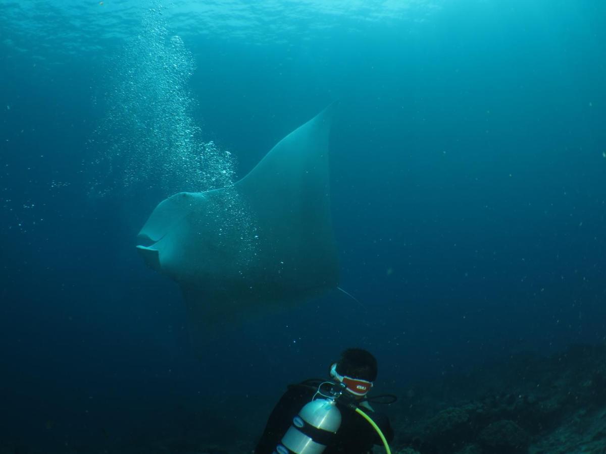 Hamueco Dive Resort Raja Ampat Рабия Экстерьер фото