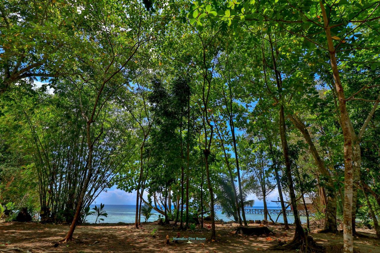 Hamueco Dive Resort Raja Ampat Рабия Экстерьер фото