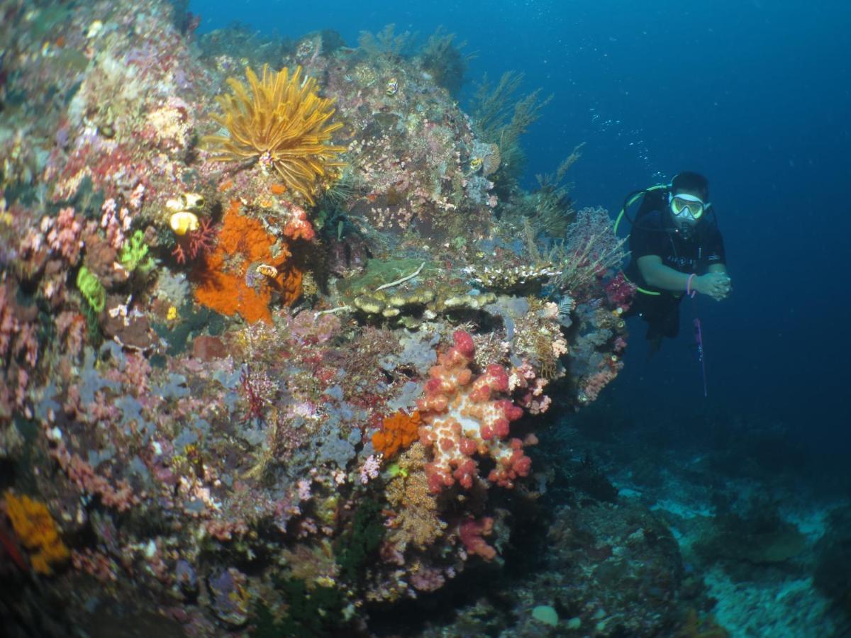Hamueco Dive Resort Raja Ampat Рабия Экстерьер фото